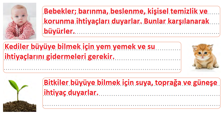3. Sınıf Türkçe Ders Kitabı Cevapları Sayfa 158 Gizem Yayıncılık