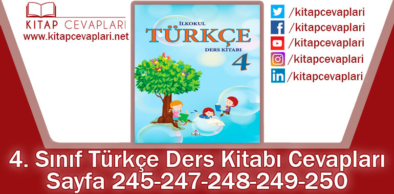 4. Sınıf Türkçe Ders Kitabı 245-247-248-249-250. Sayfa Cevapları MEB Yayınları