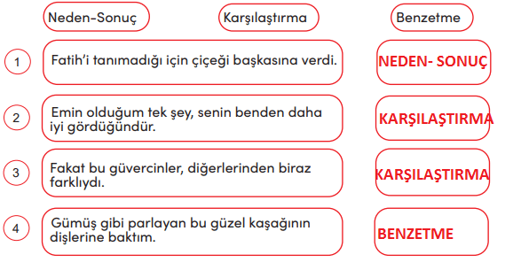 4. Sınıf Türkçe Ders Kitabı Cevapları Sayfa 101 MEB Yayınları