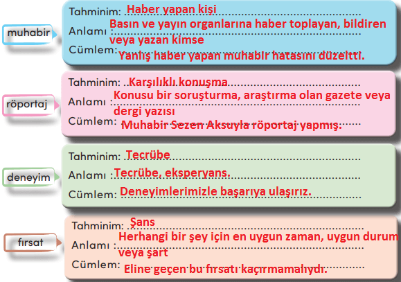 4. Sınıf Türkçe Ders Kitabı Cevapları Sayfa 125 MEB Yayınları