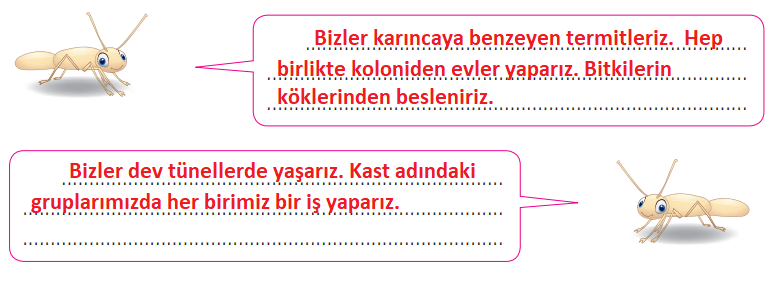 4. Sınıf Türkçe Ders Kitabı Cevapları Sayfa 160 Özgün Yayınları