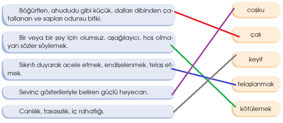 4. Sınıf Türkçe Ders Kitabı Cevapları Sayfa 163 Özgün Yayınları