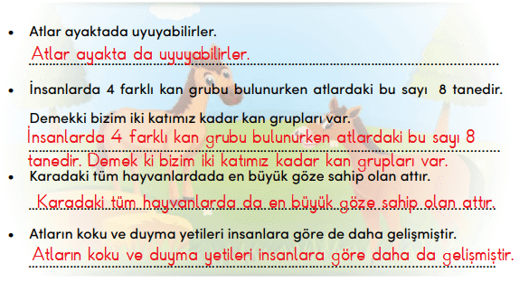 4. Sınıf Türkçe Ders Kitabı Cevapları Sayfa 217 MEB Yayınları1