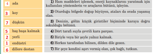 5. Sınıf Türkçe Ders Kitabı Cevapları Sayfa 81 Anıttepe Yayıncılık