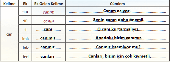 6. Sınıf Türkçe Ders Kitabı Cevapları Sayfa 179 MEB Yayınları2