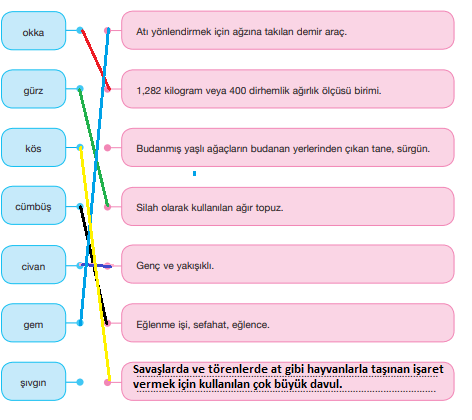 7. Sınıf Türkçe Ders Kitabı Sayfa 167 Cevapları ÖZGÜN Yayıncılık